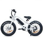 Vélo électrique pliable Fat Wheel type Kenda BTT